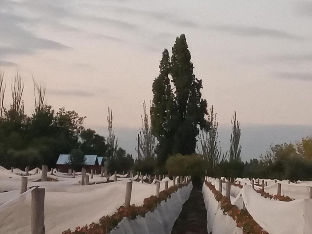 דירות Lujan de Cuyo Entre Vinedos מראה חיצוני תמונה