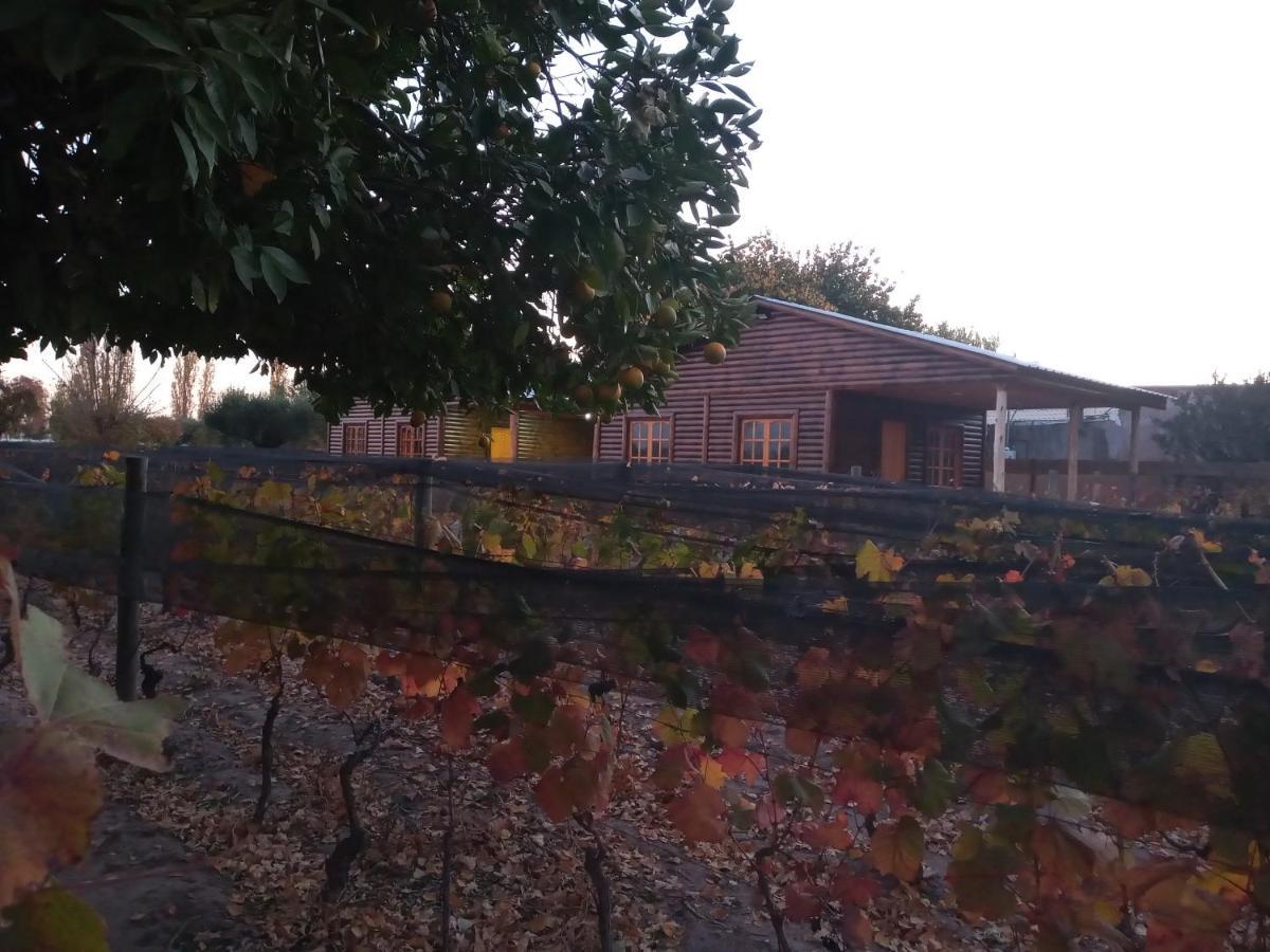 דירות Lujan de Cuyo Entre Vinedos מראה חיצוני תמונה