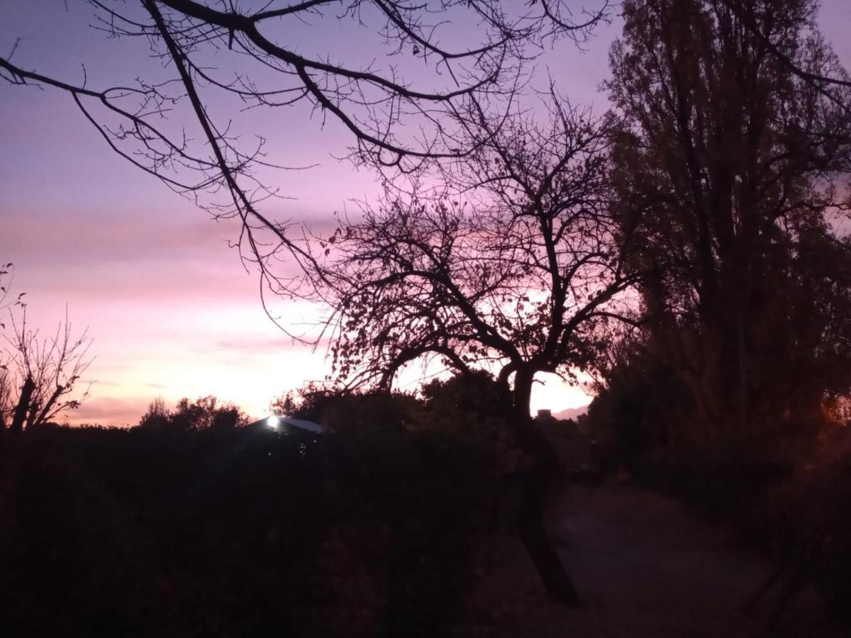 דירות Lujan de Cuyo Entre Vinedos מראה חיצוני תמונה