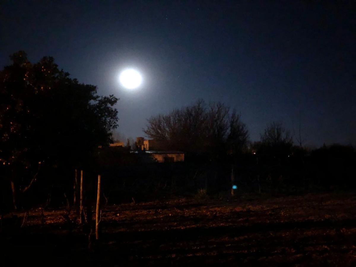 דירות Lujan de Cuyo Entre Vinedos מראה חיצוני תמונה