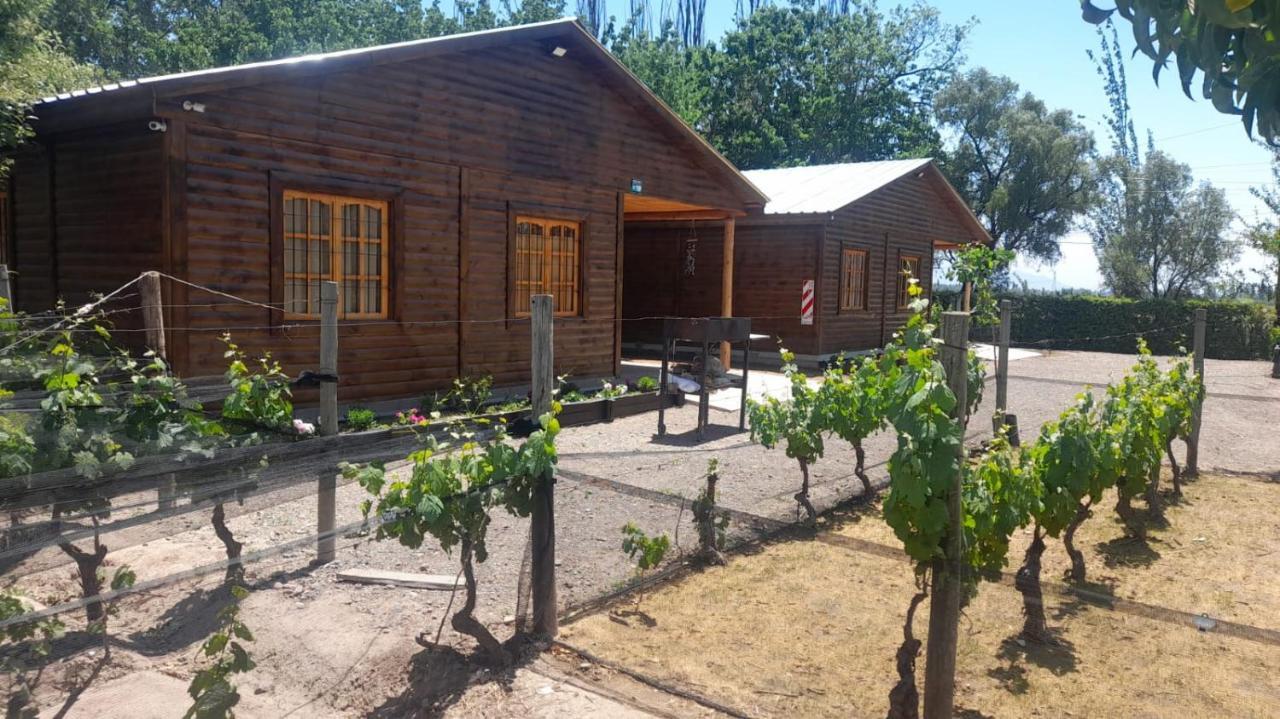 דירות Lujan de Cuyo Entre Vinedos מראה חיצוני תמונה