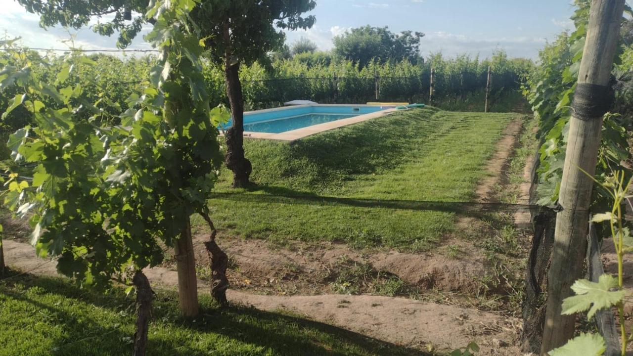 דירות Lujan de Cuyo Entre Vinedos מראה חיצוני תמונה
