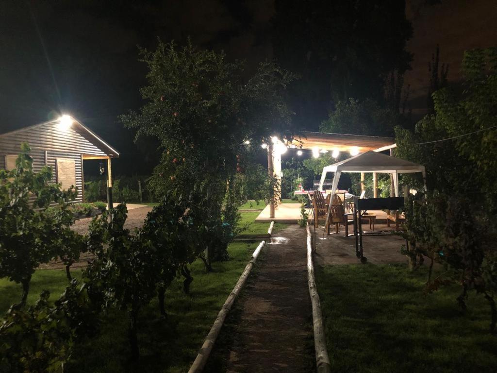 דירות Lujan de Cuyo Entre Vinedos מראה חיצוני תמונה