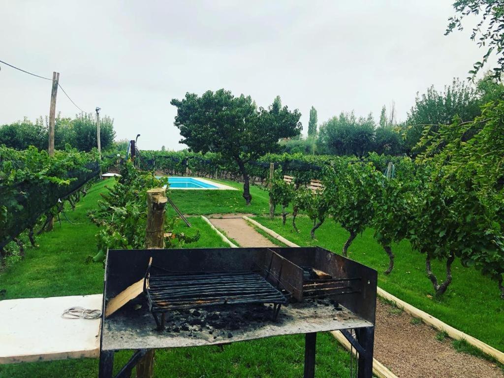 דירות Lujan de Cuyo Entre Vinedos מראה חיצוני תמונה